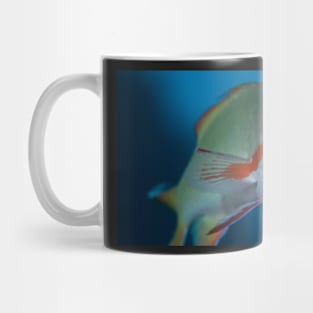 Wrasse flight Mug